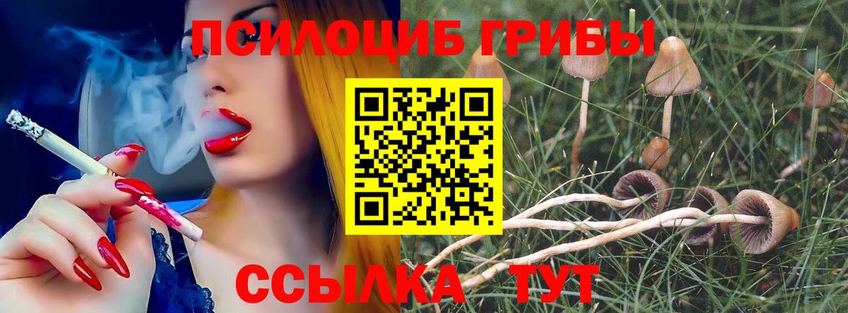 Галлюциногенные грибы прущие грибы  Вход с VPN  как найти закладки  Каменск-Уральский  Галлюциногенные грибы MAGIC MUSHROOMS 